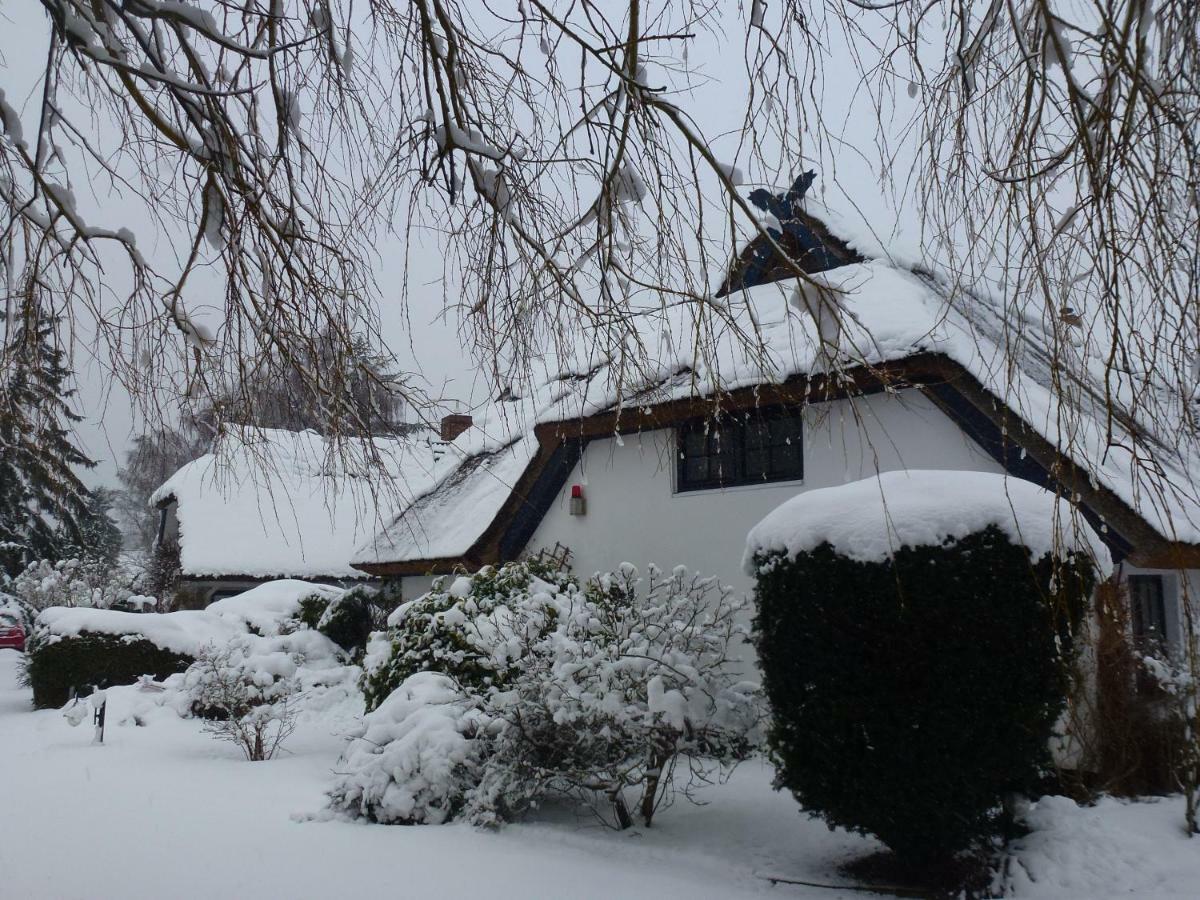 Landhaus Darss Wieck Extérieur photo